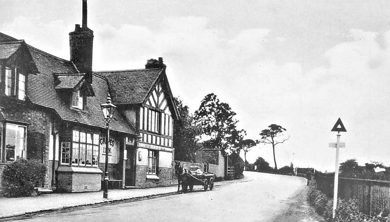 Grapes Radford Rd